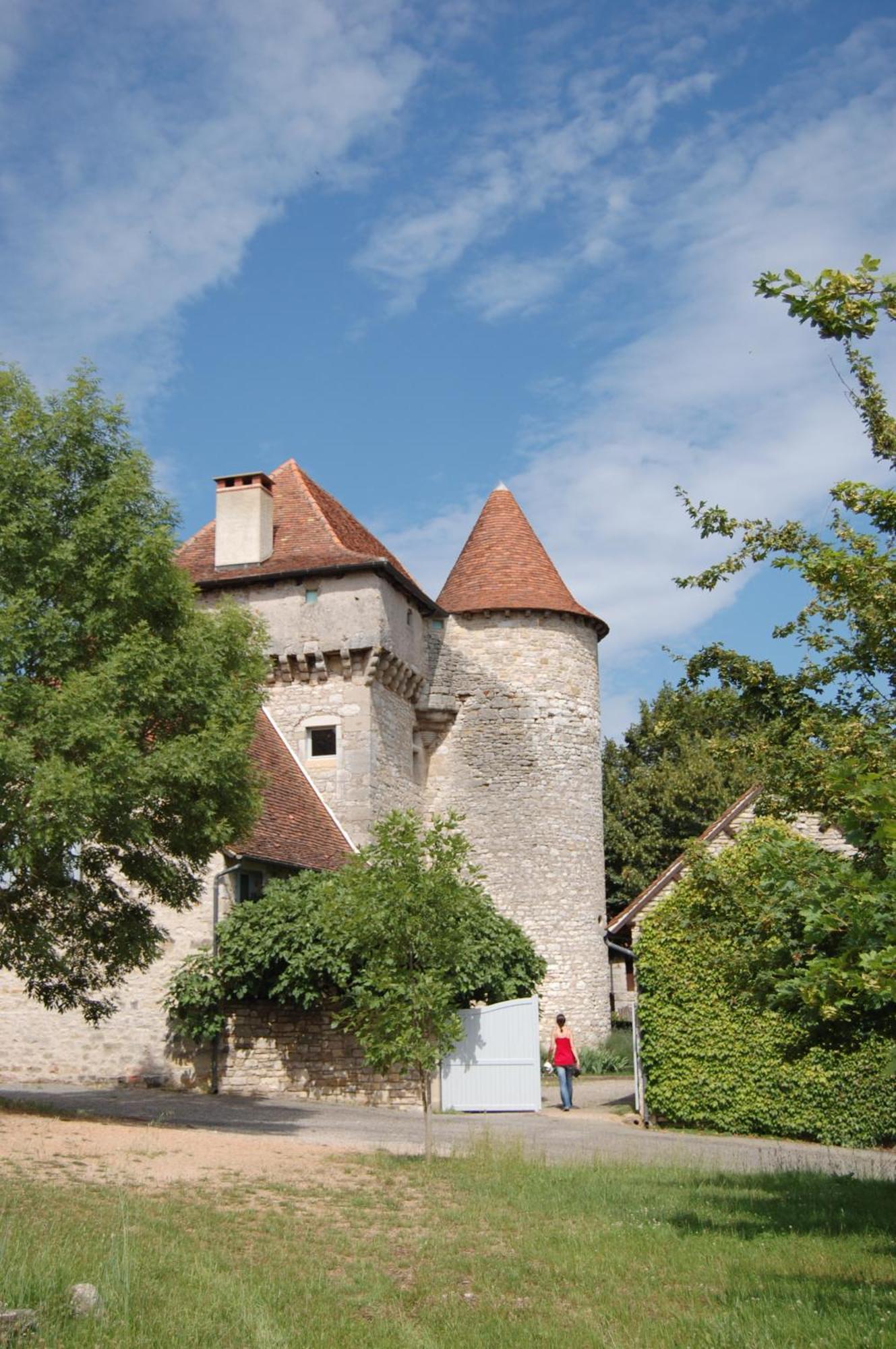 Chateau De Camboulan Ambeyrac Dış mekan fotoğraf